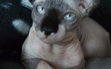 DSCF5838.JPG