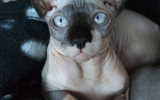 DSCF5841.JPG