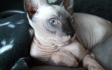 DSCF5861.JPG