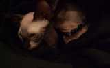 DSCF5865.JPG