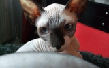 DSCF5900.JPG