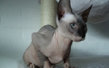 DSCF5921.JPG