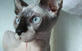 DSCF5924.JPG
