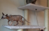 DSCF5976.JPG