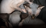 DSCF5983.JPG
