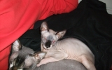 DSCF6028.JPG