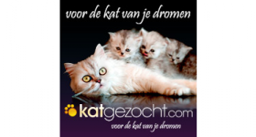 katgezocht.com