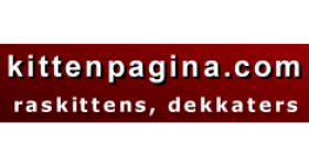 Kitten pagina