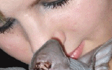 tn_MIU51120061545441000.gif